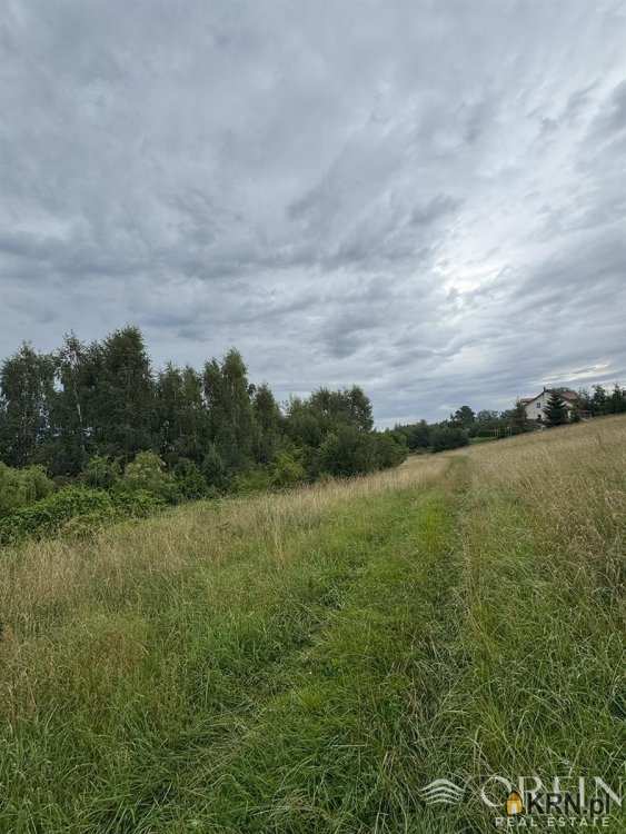 , Działki  na sprzedaż, Pręgowo Górne, ul. 