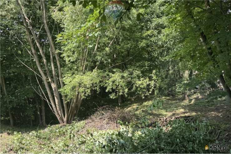 Działki  na sprzedaż, , Chocznia, ul. 