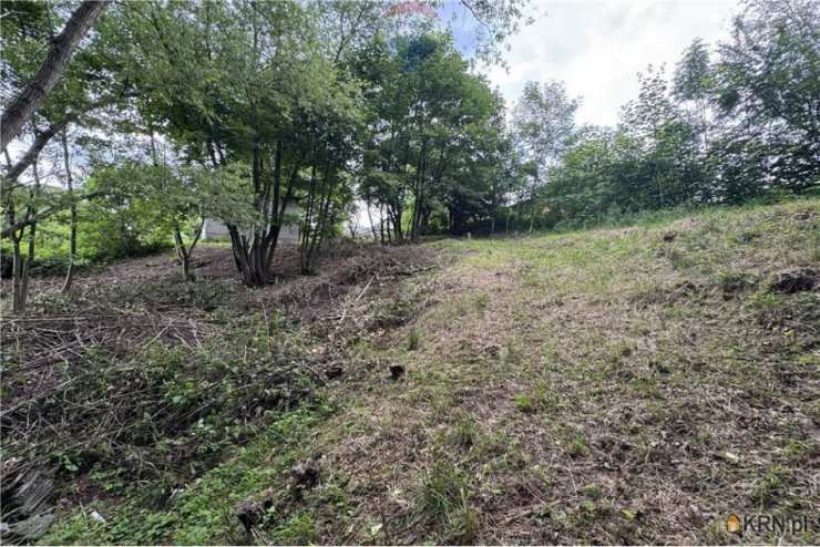 Działki  na sprzedaż, , Chocznia, ul. 