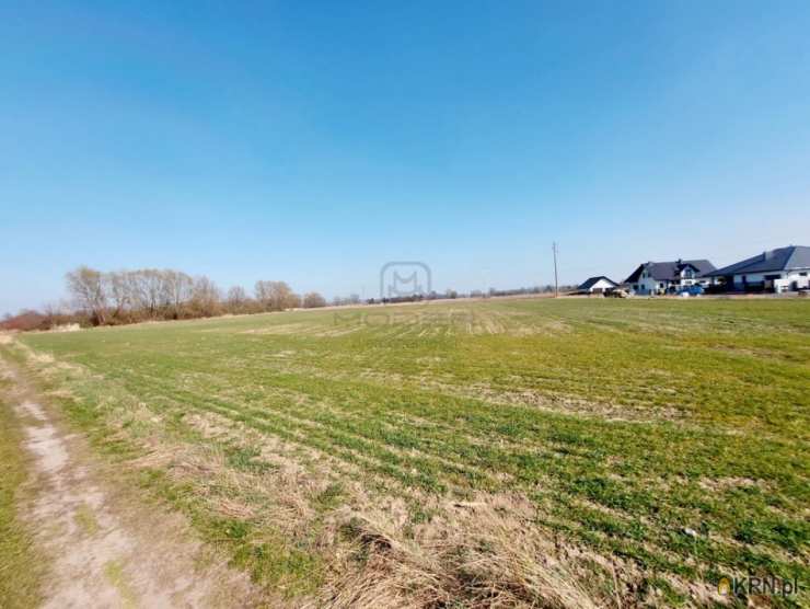 Słubice, ul. , , Działki  na sprzedaż
