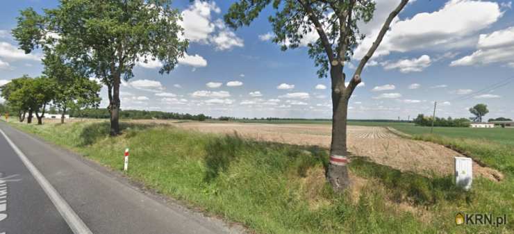 Działki  na sprzedaż, , Młodasko, ul. 