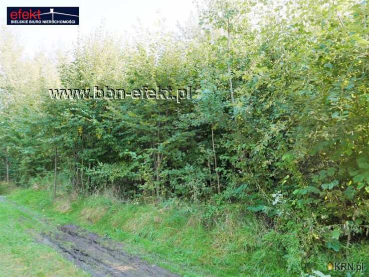 Działki  na sprzedaż, Pisarzowice, ul. , 