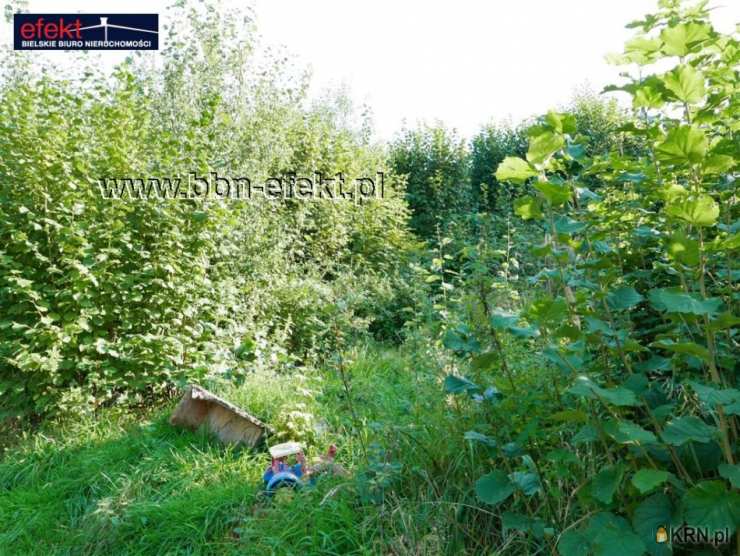 Działki  na sprzedaż, , Pisarzowice, ul. 