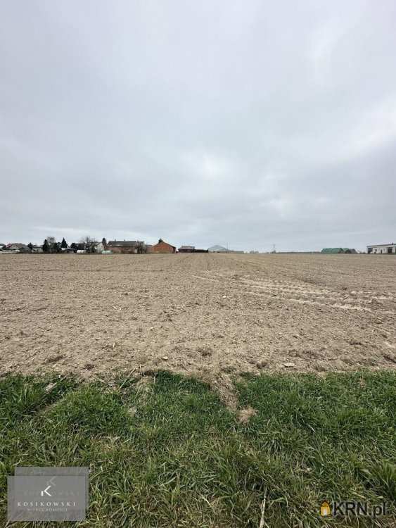 Perzów, ul. , Działki  na sprzedaż, 