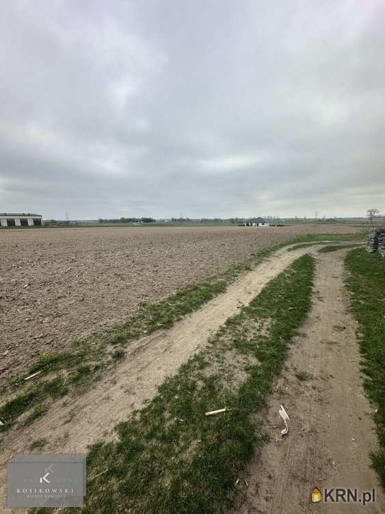 Kosikowski Nieruchomości, Działki  na sprzedaż, Perzów, ul. 