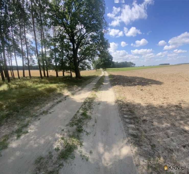 Działki  na sprzedaż, , Niemojewko, ul. 