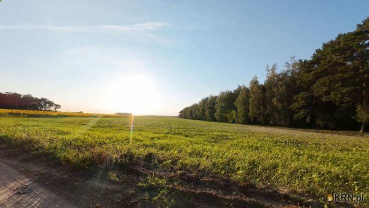 , Niemojewko, ul. , Działki  na sprzedaż