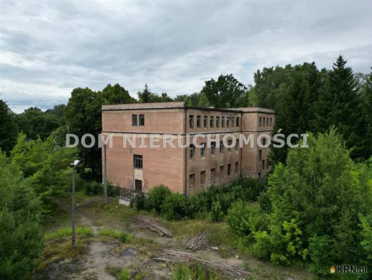 Orneta, ul. Braniewska, Kamienice  na sprzedaż, 