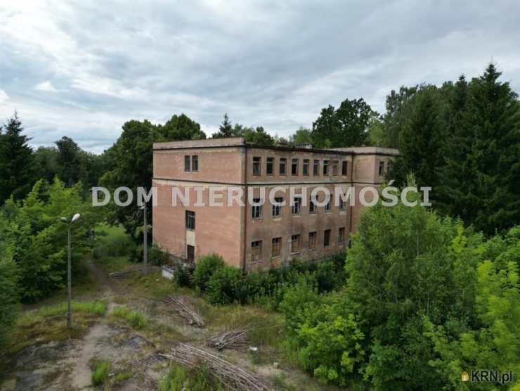 Orneta, ul. Braniewska, , Kamienice  na sprzedaż