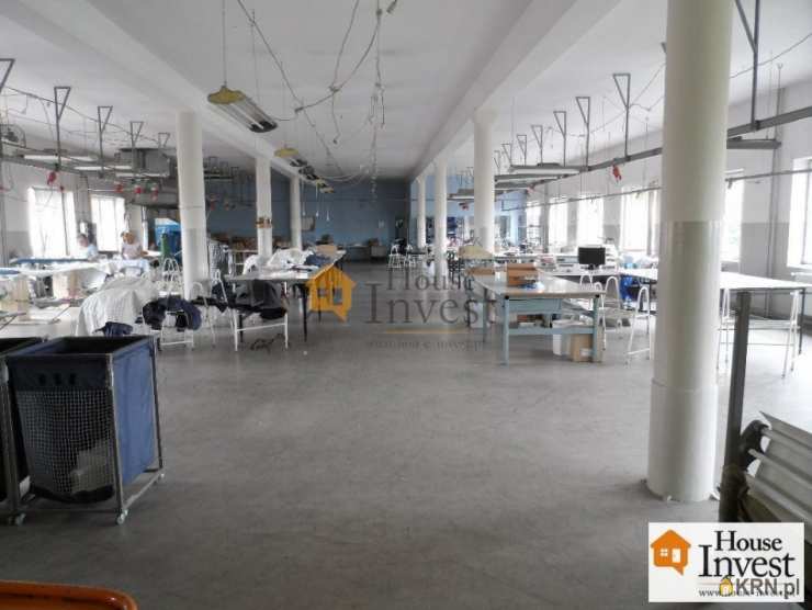 , Legnica, ul. , Kamienice  do wynajęcia