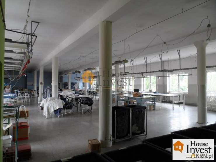 Kamienice  do wynajęcia, Legnica, ul. , 