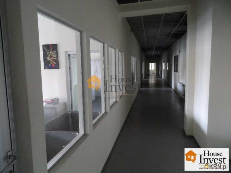 Legnica, ul. , , Kamienice  do wynajęcia