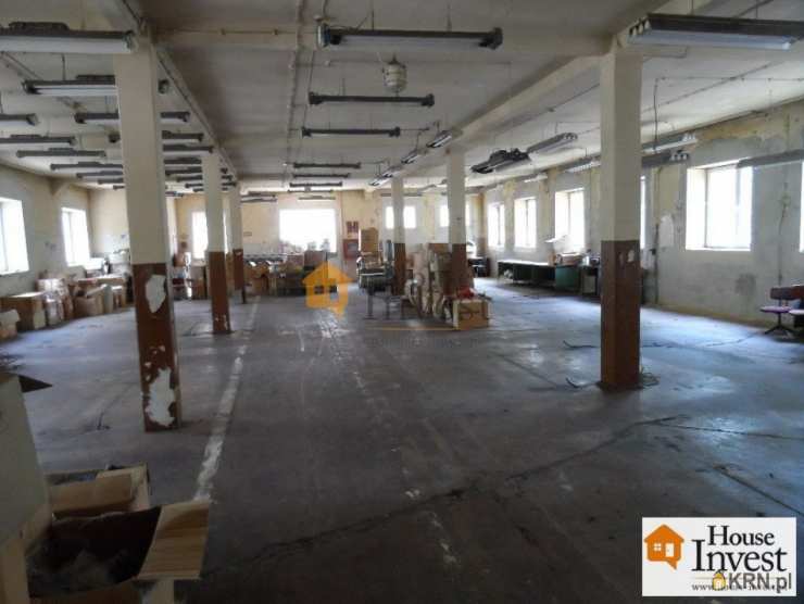 6 pokojowe, Legnica, ul. , Kamienice  do wynajęcia