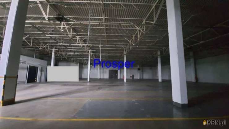 Lokal użytkowy  do wynajęcia, Będzin, ul. , 