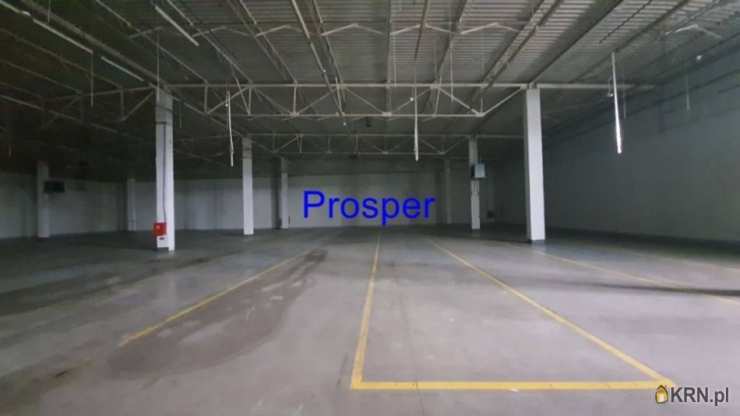 Lokal użytkowy  do wynajęcia, , Będzin, ul. 