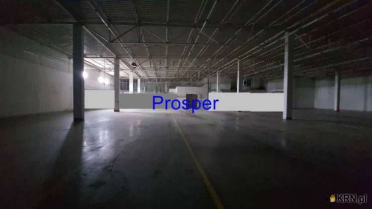 Będzin, ul. , Lokal użytkowy  do wynajęcia, 