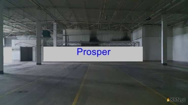 Będzin, ul. , Lokal użytkowy  do wynajęcia, 