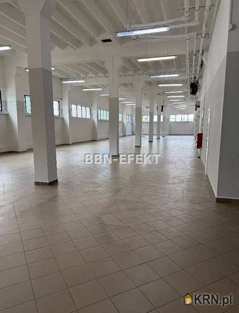 Bielsko-Biała, ul. , , Lokal użytkowy  do wynajęcia