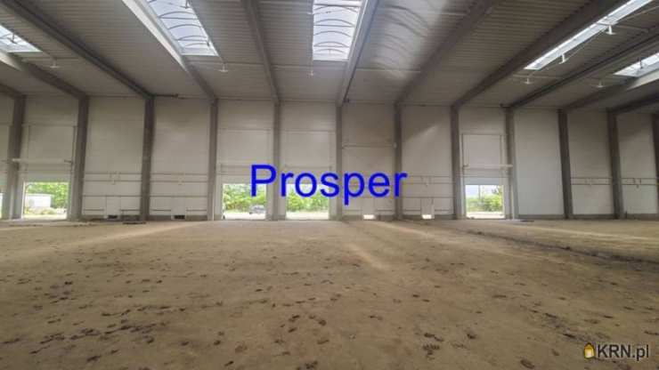 Gliwice, ul. , Lokal użytkowy  do wynajęcia, 