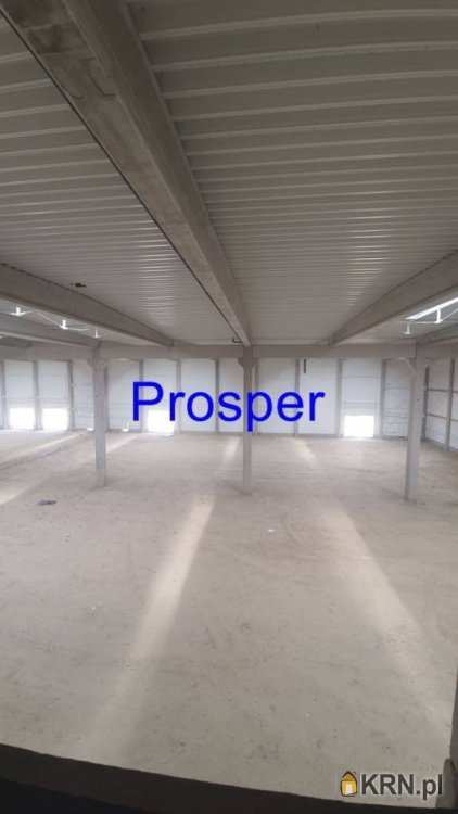 , Gliwice, ul. , Lokal użytkowy  do wynajęcia