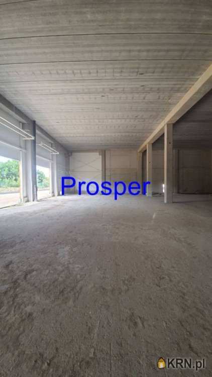 Prosper - Nieruchomości, Lokal użytkowy  do wynajęcia, Gliwice, ul. 