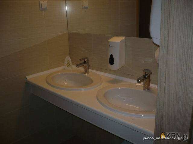 , Katowice, ul. , Lokal użytkowy  do wynajęcia