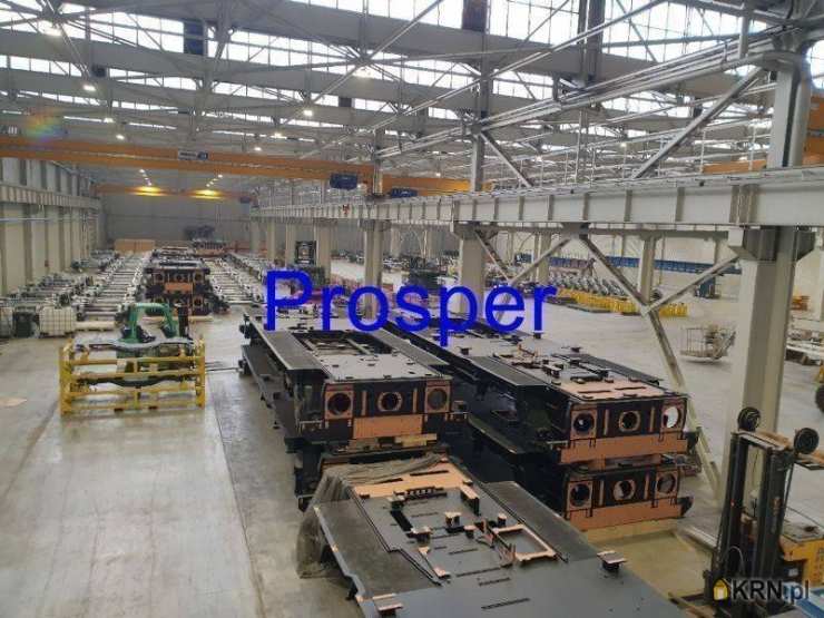 Lokal użytkowy  do wynajęcia, , Katowice, ul. 