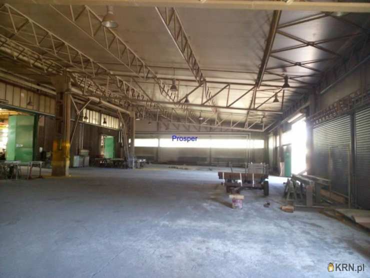 Lokal użytkowy  do wynajęcia, Katowice, ul. , 