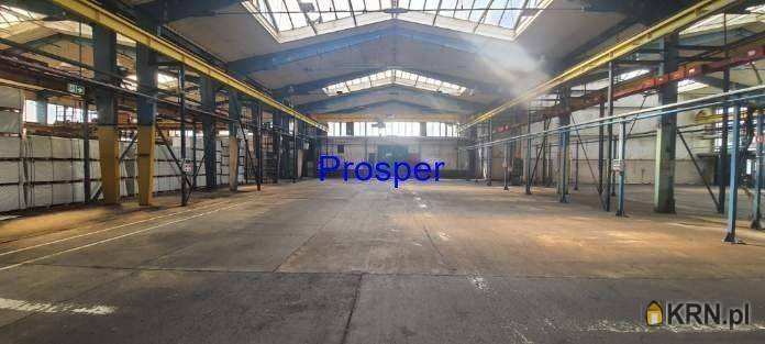 Katowice, ul. , Lokal użytkowy  do wynajęcia, 