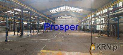 Katowice, ul. , , Lokal użytkowy  do wynajęcia