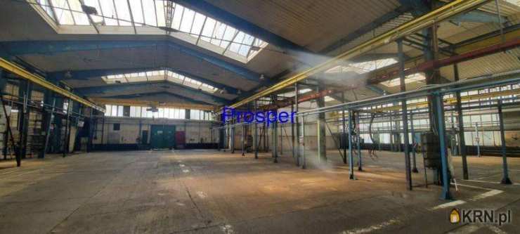 , Katowice, ul. , Lokal użytkowy  do wynajęcia