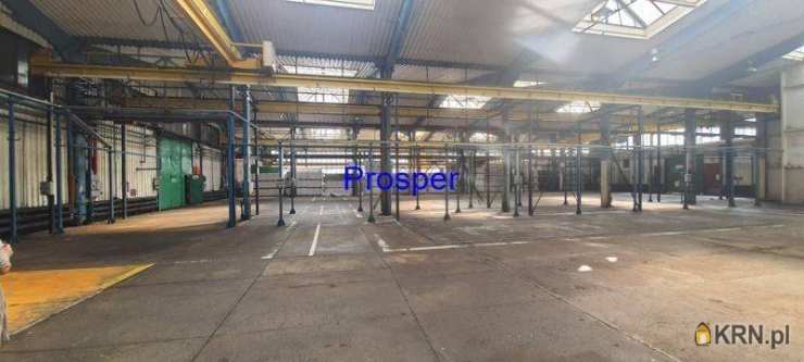 , Lokal użytkowy  do wynajęcia, Katowice, ul. 