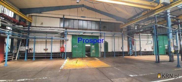 Lokal użytkowy  do wynajęcia, Katowice, ul. , 