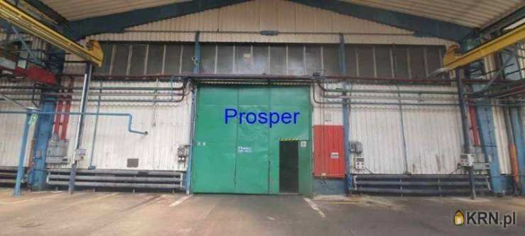 Lokal użytkowy  do wynajęcia, , Katowice, ul. 