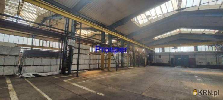 Katowice, ul. , Lokal użytkowy  do wynajęcia, 