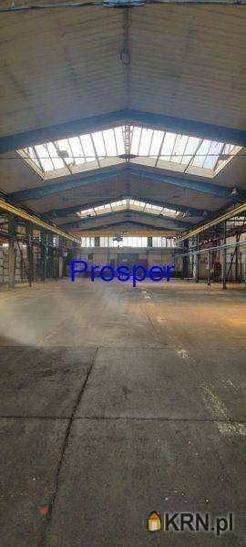 Katowice, ul. , , Lokal użytkowy  do wynajęcia