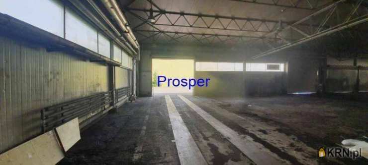 , Katowice, ul. , Lokal użytkowy  do wynajęcia