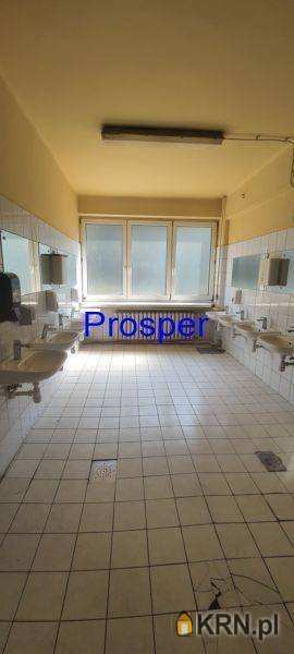 , Lokal użytkowy  do wynajęcia, Katowice, ul. 