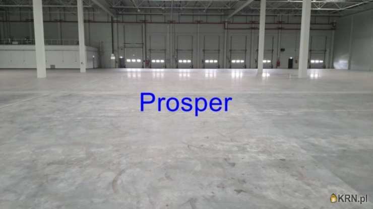 Lokal użytkowy  do wynajęcia, Katowice, ul. , 