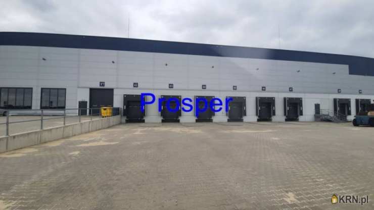 Lokal użytkowy  do wynajęcia, , Katowice, ul. 