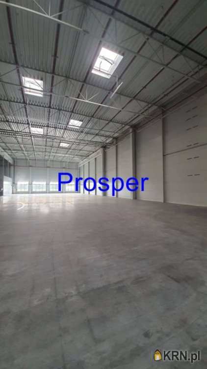 , Lokal użytkowy  do wynajęcia, Katowice, ul. 