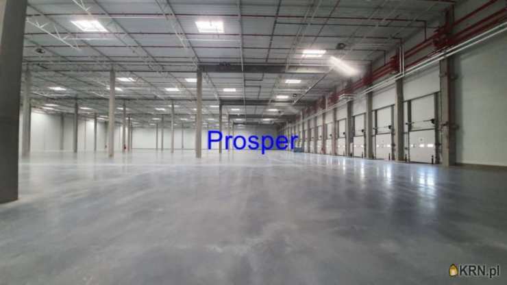 Prosper - Nieruchomości, Lokal użytkowy  do wynajęcia, Katowice, ul. 