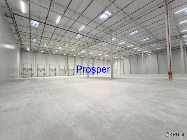 Katowice, ul. , Lokal użytkowy  do wynajęcia, 