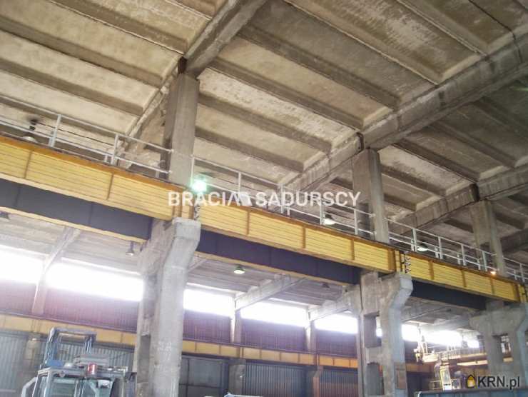 Kraków, Podgórze, ul. Nowohucka, Lokal użytkowy  do wynajęcia, 