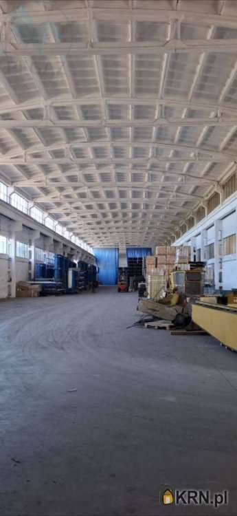 Lokal użytkowy  do wynajęcia, , Krzyż Wielkopolski, ul. Portowa