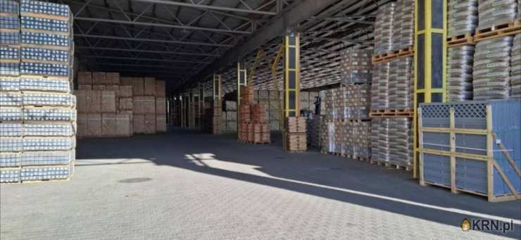 Krzyż Wielkopolski, ul. Portowa, Lokal użytkowy  do wynajęcia, 