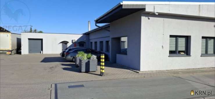 Pegaz Nieruchomości, Lokal użytkowy  do wynajęcia, Krzyż Wielkopolski, ul. Portowa