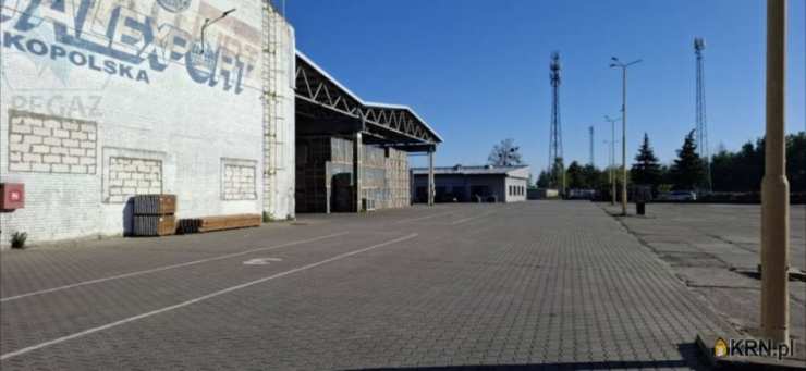 Lokal użytkowy  do wynajęcia, , Krzyż Wielkopolski, ul. Portowa