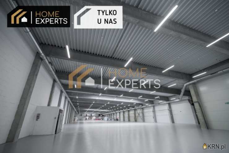 Lokal użytkowy  do wynajęcia, Nowy Dwór Gdański, ul. Żuławska, 