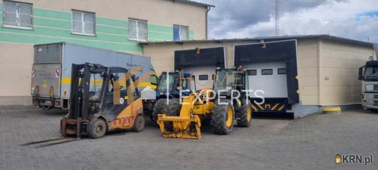 Lokal użytkowy  do wynajęcia, , Nowy Dwór Gdański, ul. Żuławska